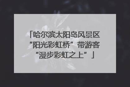 哈尔滨太阳岛风景区“阳光彩虹桥”带游客“漫步彩虹之上”