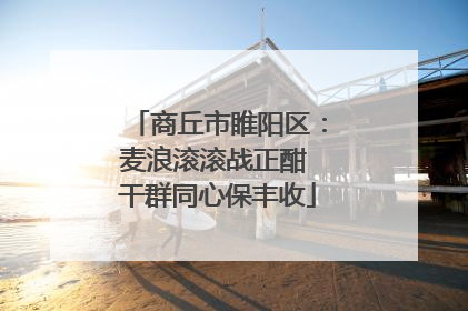商丘市睢阳区：麦浪滚滚战正酣 干群同心保丰收