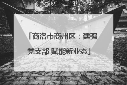 商洛市商州区：建强党支部 赋能新业态
