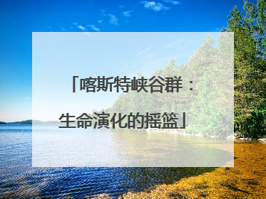 喀斯特峡谷群：生命演化的摇篮