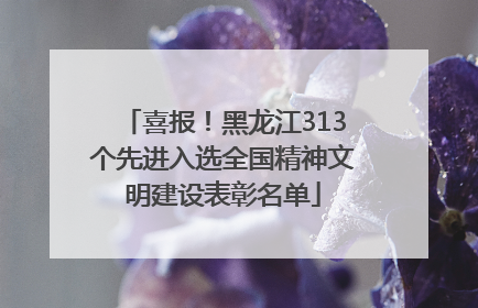 喜报！黑龙江313个先进入选全国精神文明建设表彰名单