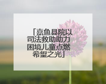 嘉鱼县院以司法救助助力困境儿童点燃希望之光