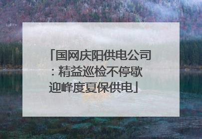 国网庆阳供电公司：精益巡检不停歇 迎峰度夏保供电