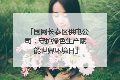 国网长泰区供电公司：守护绿色生产赋能世界环境日