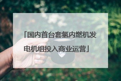 国内首台套氢内燃机发电机组投入商业运营