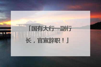 国有大行一副行长，官宣辞职！
