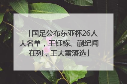 国足公布东亚杯26人大名单，王钰栋、蒯纪闻在列，王大雷落选