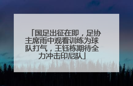 国足出征在即，足协主席雨中观看训练为球队打气，王钰栋期待全力冲击印尼队