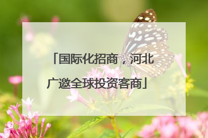 国际化招商，河北广邀全球投资客商