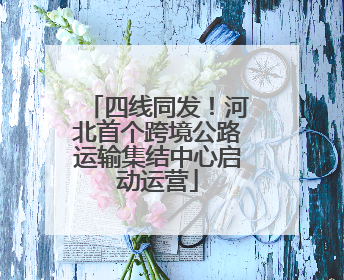 四线同发！河北首个跨境公路运输集结中心启动运营