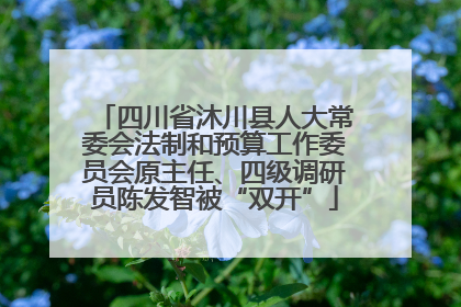 四川省沐川县人大常委会法制和预算工作委员会原主任、四级调研员陈发智被“双开”