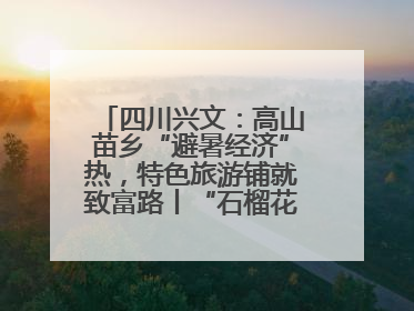 四川兴文：高山苗乡“避暑经济”热，特色旅游铺就致富路丨“石榴花开”四川行⑧