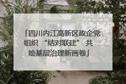 四川内江高新区政企党组织 “结对联建” 共绘基层治理新画卷