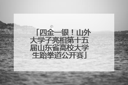 四金一银！山外大学子亮相第十五届山东省高校大学生跆拳道公开赛