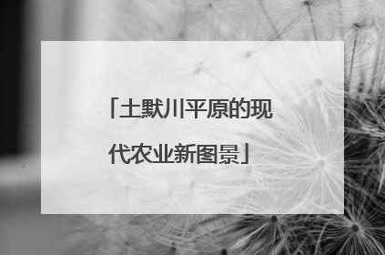 土默川平原的现代农业新图景