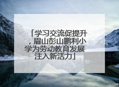 学习交流促提升，眉山彭山鹏利小学为劳动教育发展注入新活力