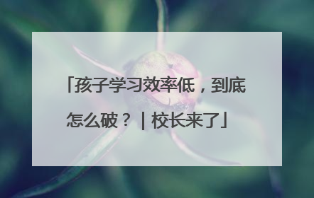 孩子学习效率低，到底怎么破？｜校长来了