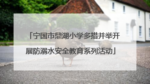 宁国市鼎湖小学多措并举开展防溺水安全教育系列活动