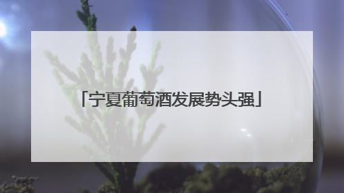 宁夏葡萄酒发展势头强