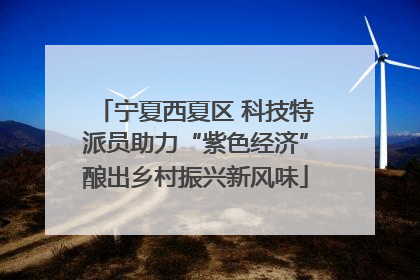 宁夏西夏区 科技特派员助力“紫色经济”酿出乡村振兴新风味
