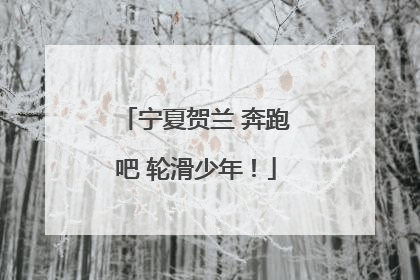 宁夏贺兰 奔跑吧 轮滑少年！