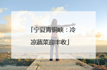 宁夏青铜峡：冷凉蔬菜迎丰收