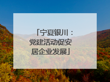 宁夏银川：党建活动促安居企业发展