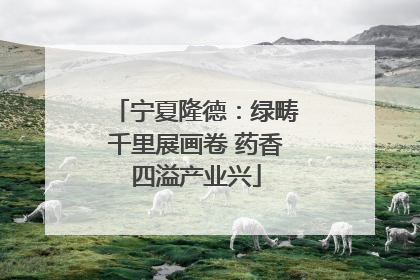 宁夏隆德：绿畴千里展画卷 药香四溢产业兴