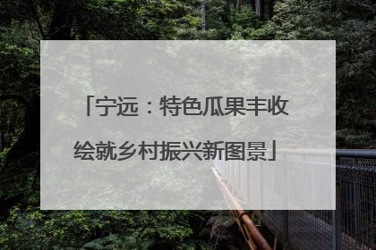 宁远：特色瓜果丰收绘就乡村振兴新图景
