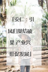安仁：引凤归巢结硕果 产业兴旺促发展