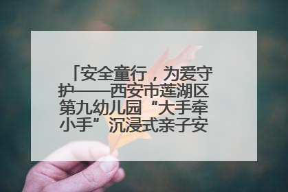 安全童行，为爱守护——西安市莲湖区第九幼儿园“大手牵小手”沉浸式亲子安全体验活动