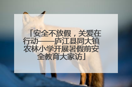 安全不放假，关爱在行动——庐江县同大镇农林小学开展暑假前安全教育大家访