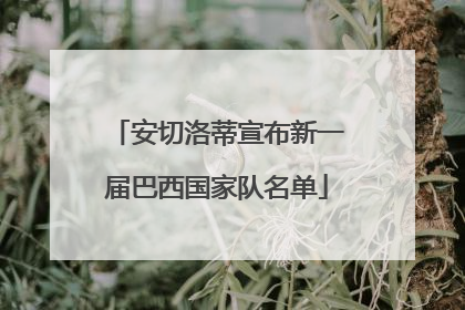 安切洛蒂宣布新一届巴西国家队名单