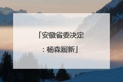 安徽省委决定：杨森履新