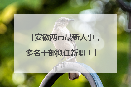 安徽两市最新人事，多名干部拟任新职！