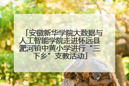 安徽新华学院大数据与人工智能学院走进怀远县淝河镇中黄小学进行“三下乡”支教活动