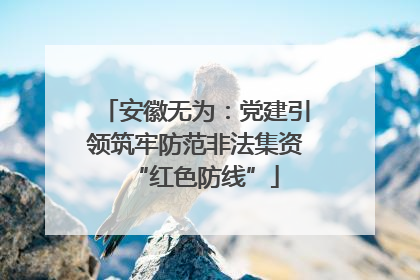安徽无为：党建引领筑牢防范非法集资“红色防线”