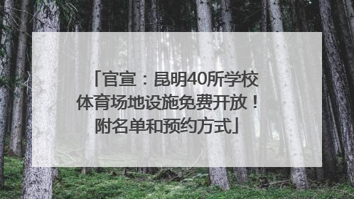 官宣：昆明40所学校体育场地设施免费开放！附名单和预约方式
