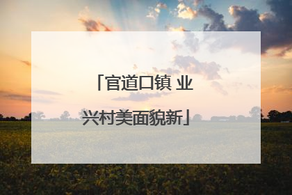 官道口镇 业兴村美面貌新