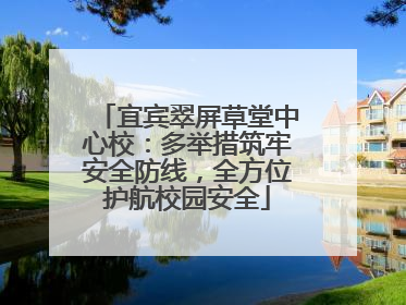 宜宾翠屏草堂中心校：多举措筑牢安全防线，全方位护航校园安全