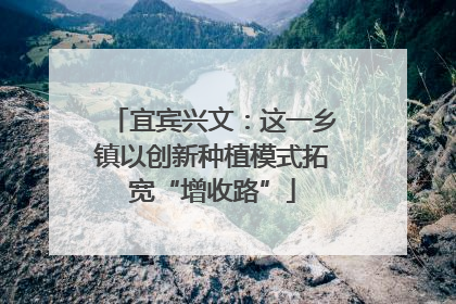 宜宾兴文：这一乡镇以创新种植模式拓宽“增收路”