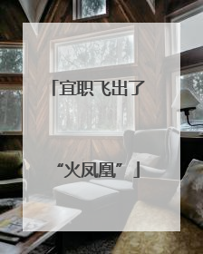 宜职飞出了“火凤凰”