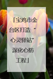 宝鸡市金台区打造“心灵驿站” 深化心防工程