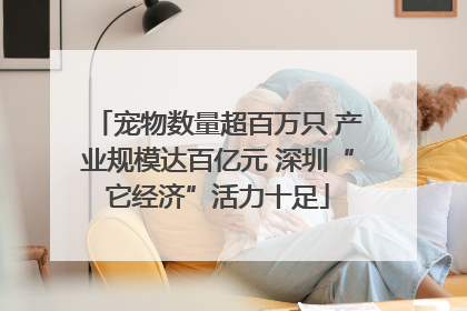 宠物数量超百万只 产业规模达百亿元 深圳“它经济”活力十足