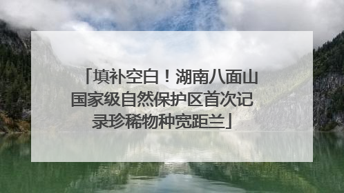 填补空白！湖南八面山国家级自然保护区首次记录珍稀物种宽距兰