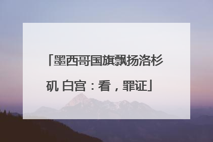 墨西哥国旗飘扬洛杉矶 白宫：看，罪证