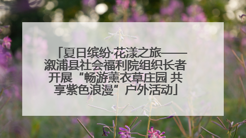 夏日缤纷·花漾之旅——溆浦县社会福利院组织长者开展“畅游薰衣草庄园 共享紫色浪漫”户外活动