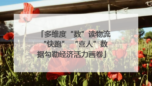 多维度“数”读物流“快跑” “喜人”数据勾勒经济活力画卷