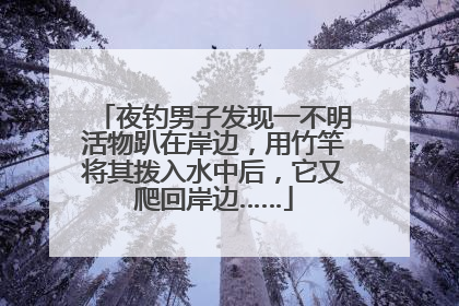 夜钓男子发现一不明活物趴在岸边，用竹竿将其拨入水中后，它又爬回岸边……