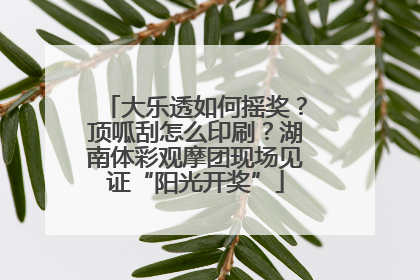 大乐透如何摇奖？顶呱刮怎么印刷？湖南体彩观摩团现场见证“阳光开奖”